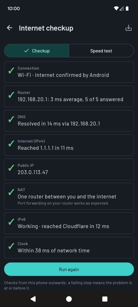 Internet checkup results: connection, router, DNS, internet, public IP, NAT, IPv6 and clock, each with a tick or warning